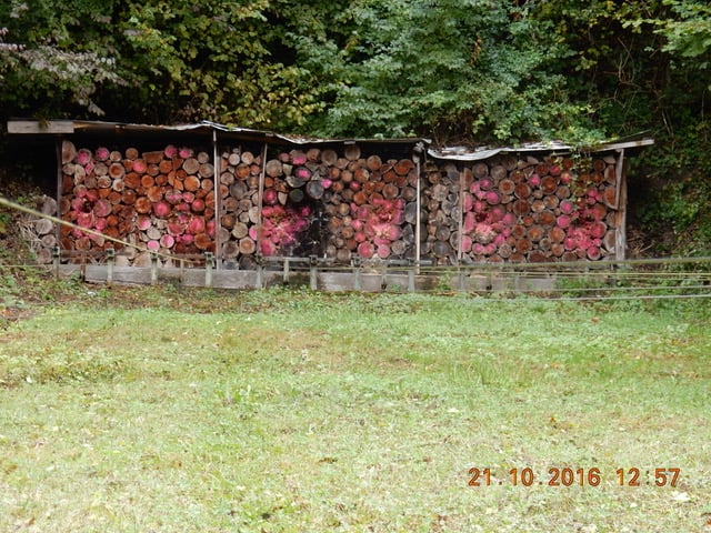 Saisonende 2016 – Demontage Kugelfang